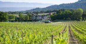 visiter les vignobles en provence