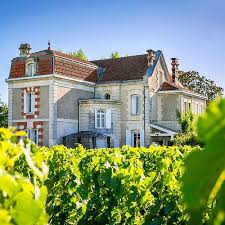 st emilion degustation