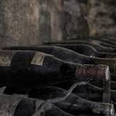 decouverte vin bourgogne