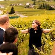 degustation lavaux
