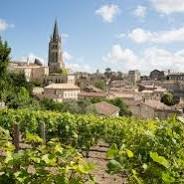 caves et vignobles à visiter