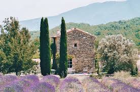 provence gastronomique