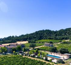 vignoble provençal