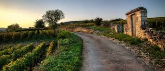 visites de vignoble