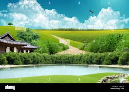 paysage