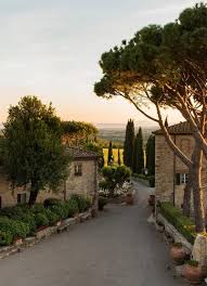 domaine viticole
