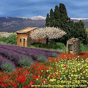 paysages provence