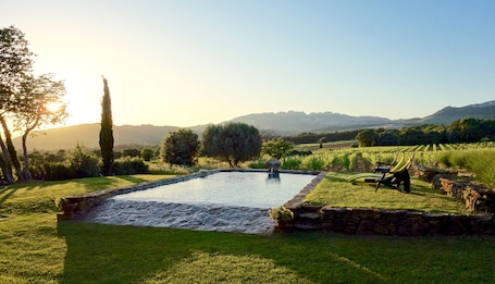 location vacances vaucluse avec piscine privée