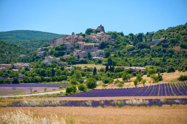 paysage provence
