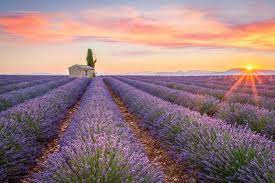 paysages de provence