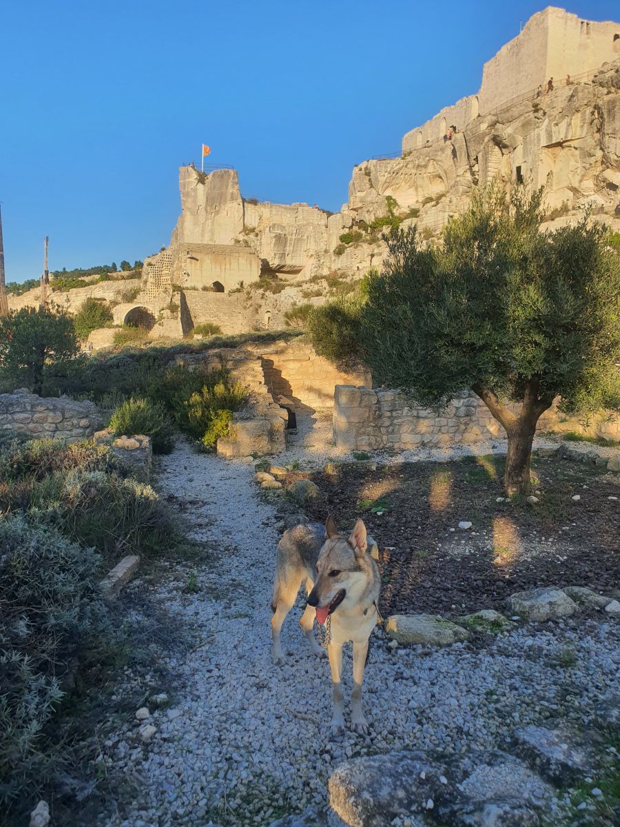tourisme baux de provence