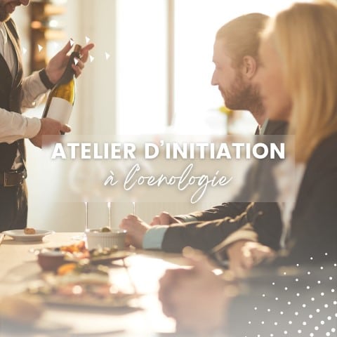 initiation oenologique