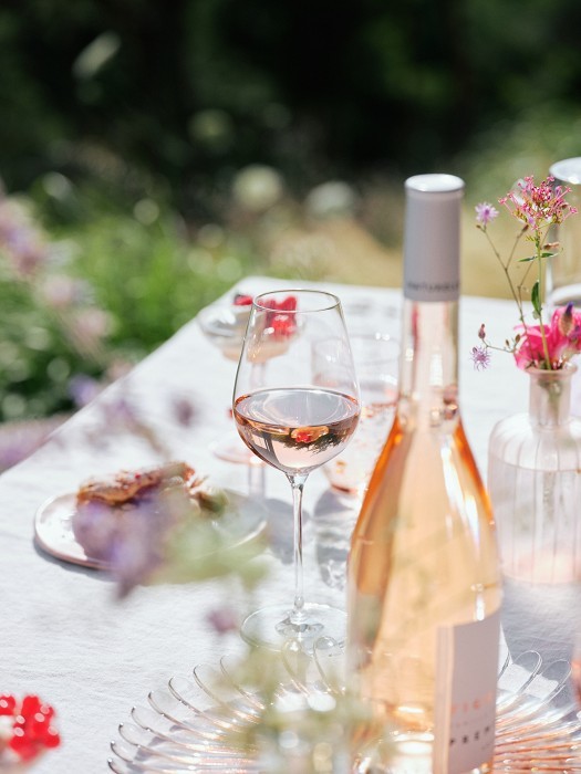 meilleur rosé de provence