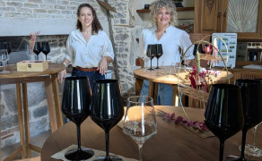 degustation de vin autour de moi