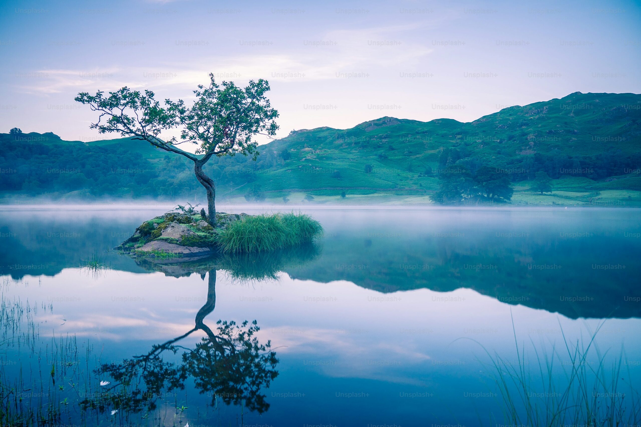 natures