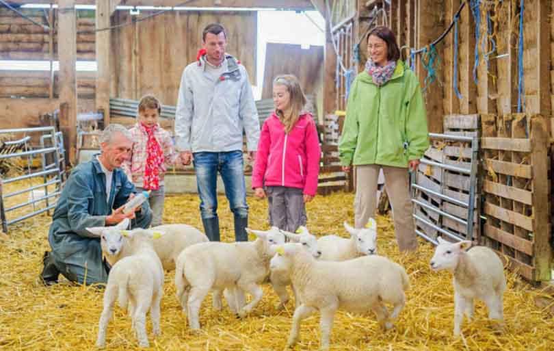 séjour à la ferme avec animaux paca